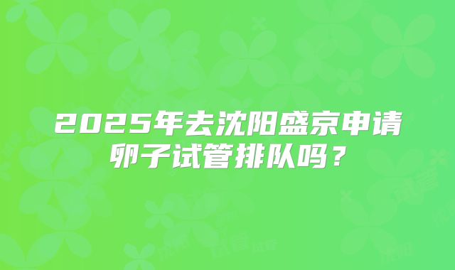 2025年去沈阳盛京申请卵子试管排队吗?