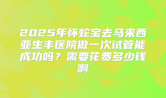 2025年怀蛇宝去马来西亚生丰医院做一次试管能成功吗？需要花费多少钱啊