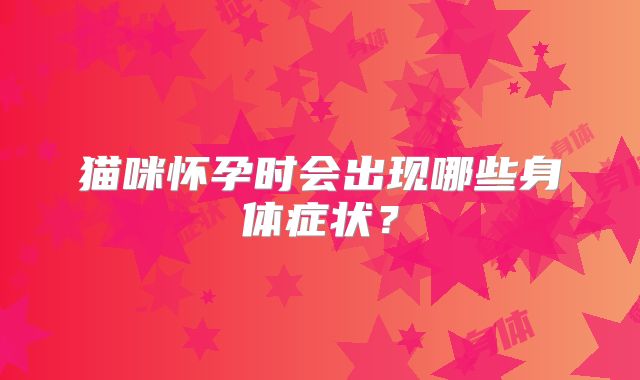 猫咪怀孕时会出现哪些身体症状？