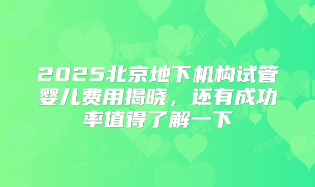 2025北京地下机构试管婴儿费用揭晓，还有成功率值得了解一下