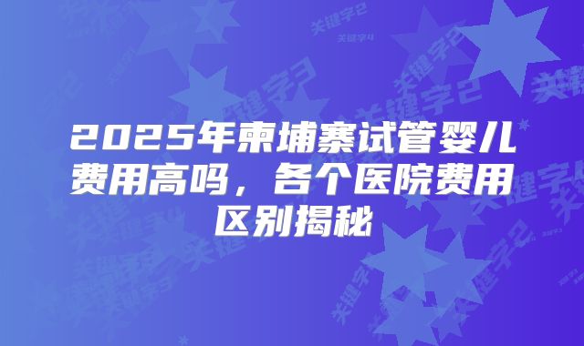 2025年柬埔寨试管婴儿费用高吗，各个医院费用区别揭秘