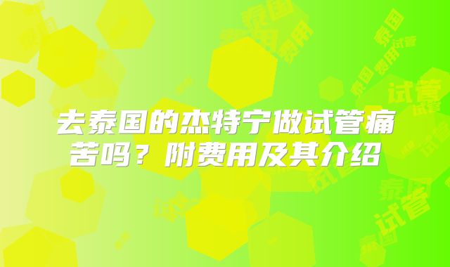 去泰国的杰特宁做试管痛苦吗?附费用及其介绍