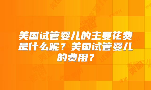 美国试管婴儿的主要花费是什么呢？美国试管婴儿的费用？