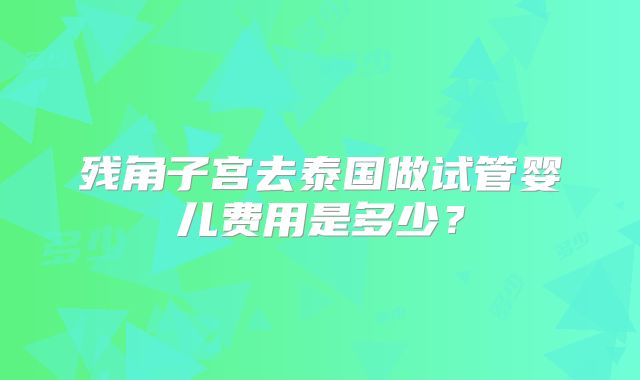残角子宫去泰国做试管婴儿费用是多少？