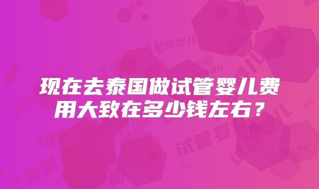 现在去泰国做试管婴儿费用大致在多少钱左右？