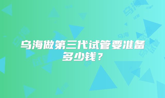 乌海做第三代试管要准备多少钱？