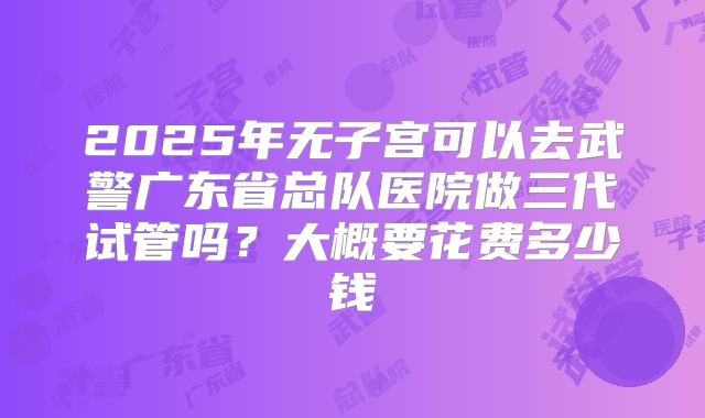 2025年无子宫可以去武警广东省总队医院做三代试管吗？大概要花费多少钱