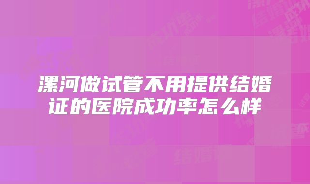漯河做试管不用提供结婚证的医院成功率怎么样