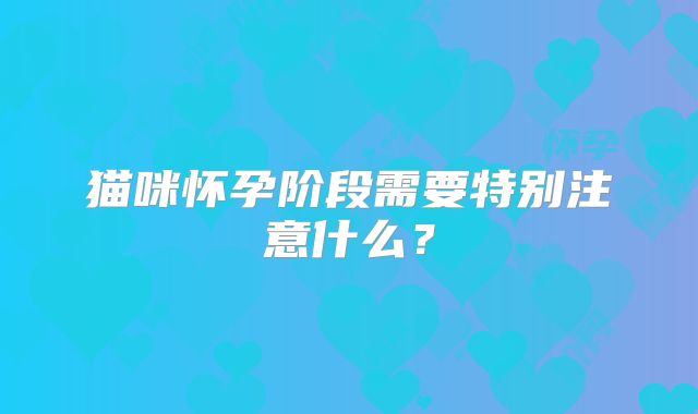 猫咪怀孕阶段需要特别注意什么？