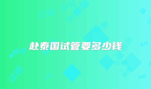 赴泰国试管要多少钱