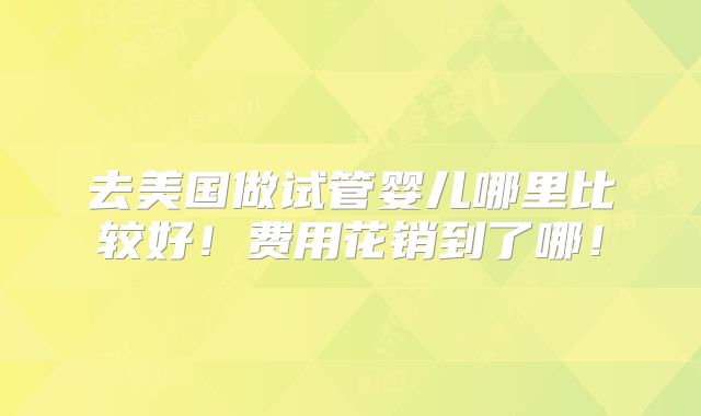 去美国做试管婴儿哪里比较好！费用花销到了哪！