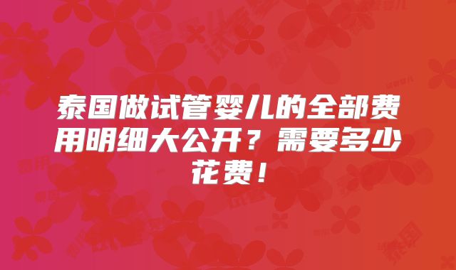 泰国做试管婴儿的全部费用明细大公开？需要多少花费！