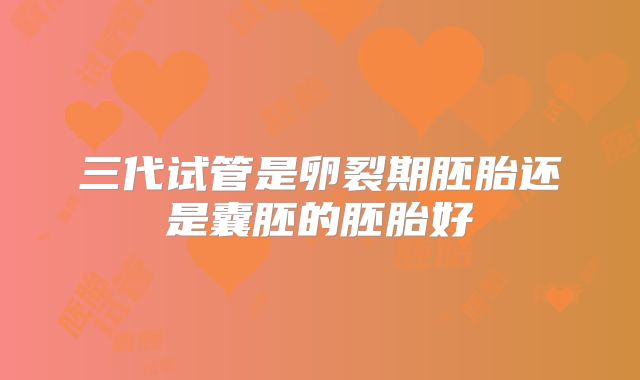 三代试管是卵裂期胚胎还是囊胚的胚胎好