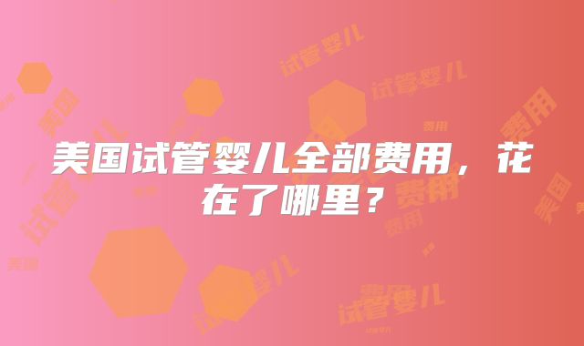 美国试管婴儿全部费用，花在了哪里？