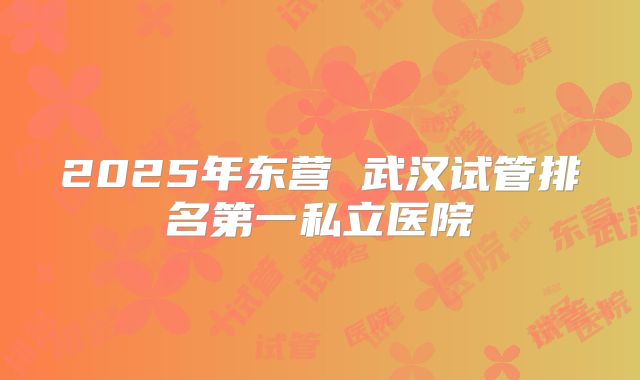 2025年东营 武汉试管排名第一私立医院