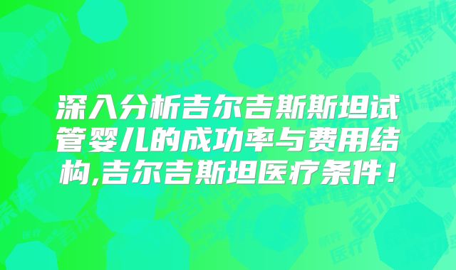 深入分析吉尔吉斯斯坦试管婴儿的成功率与费用结构,吉尔吉斯坦医疗条件!