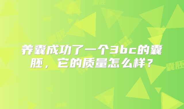 养囊成功了一个3bc的囊胚，它的质量怎么样？