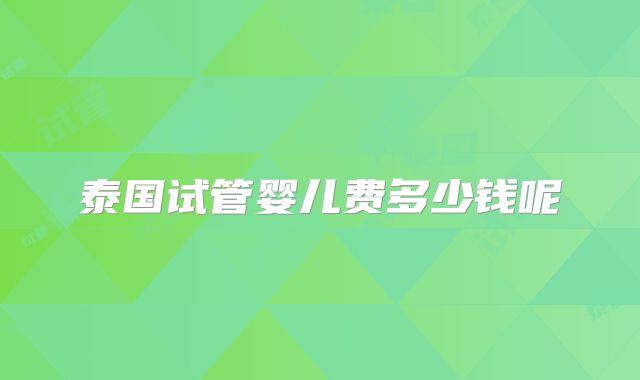泰国试管婴儿费多少钱呢