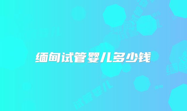 缅甸试管婴儿多少钱