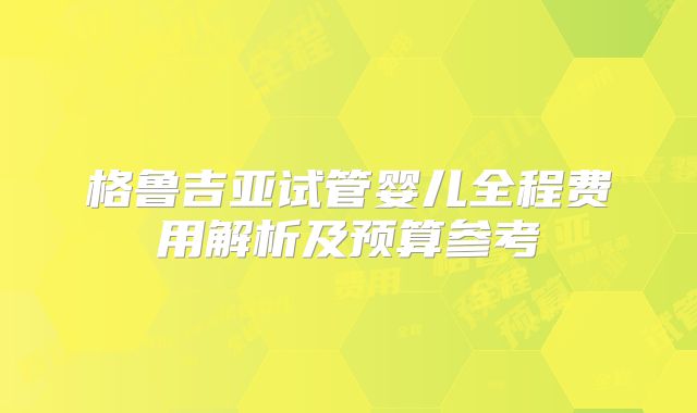 格鲁吉亚试管婴儿全程费用解析及预算参考