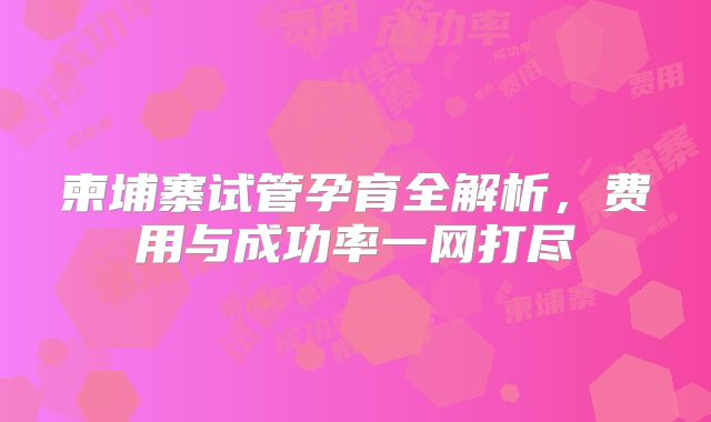 柬埔寨试管孕育全解析,费用与成功率一网打尽