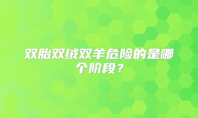 双胎双绒双羊危险的是哪个阶段？