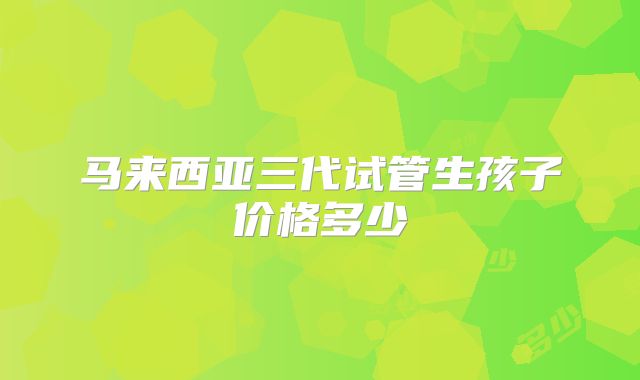 马来西亚三代试管生孩子价格多少