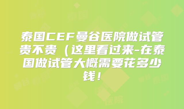 泰国CEF曼谷医院做试管贵不贵（这里看过来-在泰国做试管大概需要花多少钱！