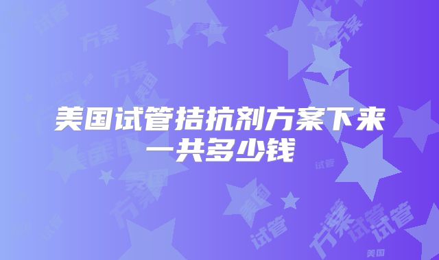 美国试管拮抗剂方案下来一共多少钱