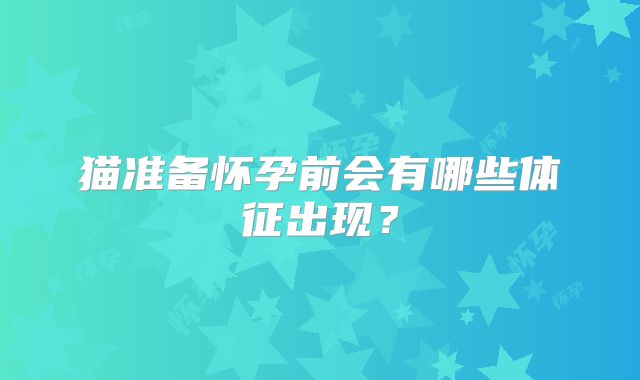 猫准备怀孕前会有哪些体征出现？
