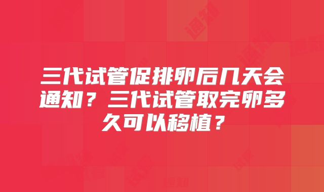 三代试管促排卵后几天会通知？三代试管取完卵多久可以移植？