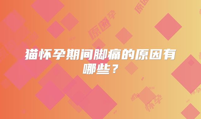 猫怀孕期间脚痛的原因有哪些？