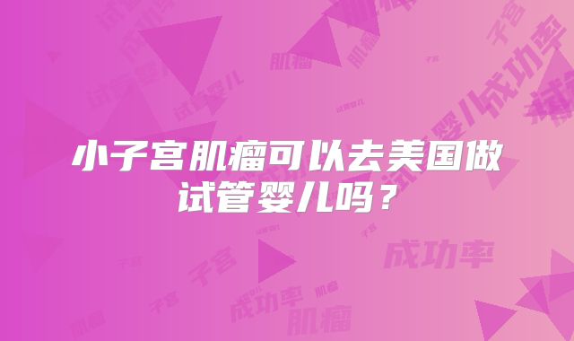 小子宫肌瘤可以去美国做试管婴儿吗？