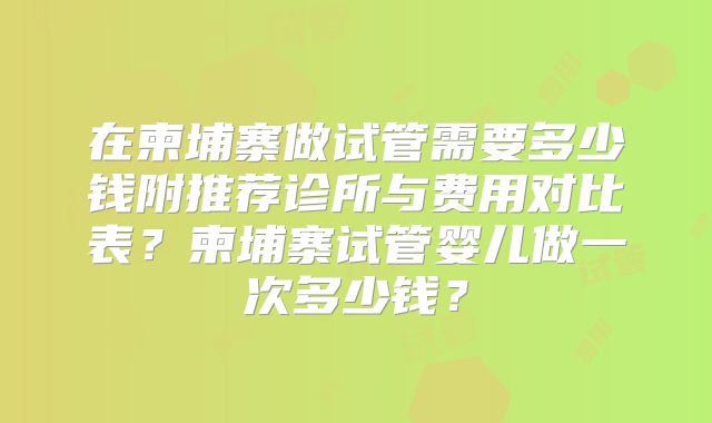 在柬埔寨做试管需要多少钱附推荐诊所与费用对比表？柬埔寨试管婴儿做一次多少钱？
