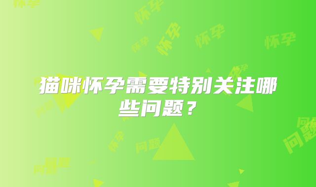 猫咪怀孕需要特别关注哪些问题？