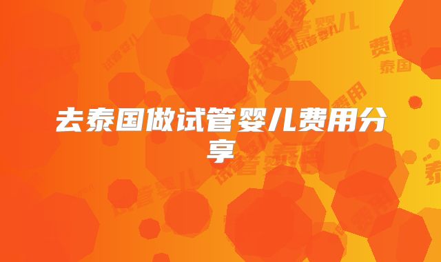 去泰国做试管婴儿费用分享