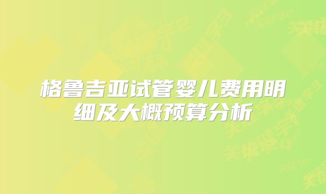 格鲁吉亚试管婴儿费用明细及大概预算分析