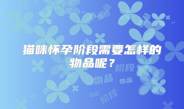 猫咪怀孕阶段需要怎样的物品呢？