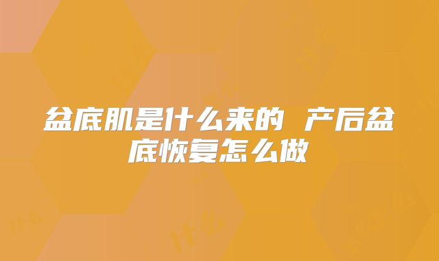 盆底肌是什么来的 产后盆底恢复怎么做