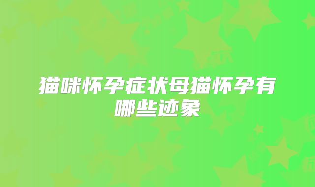 猫咪怀孕症状母猫怀孕有哪些迹象