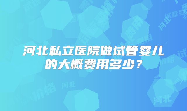 河北私立医院做试管婴儿的大概费用多少？