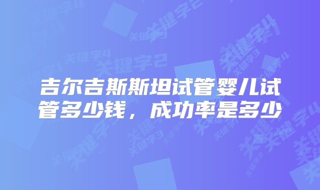吉尔吉斯斯坦试管婴儿试管多少钱,成功率是多少
