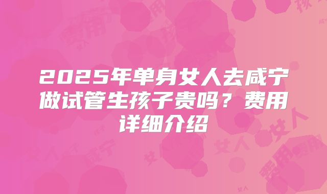 2025年单身女人去咸宁做试管生孩子贵吗？费用详细介绍