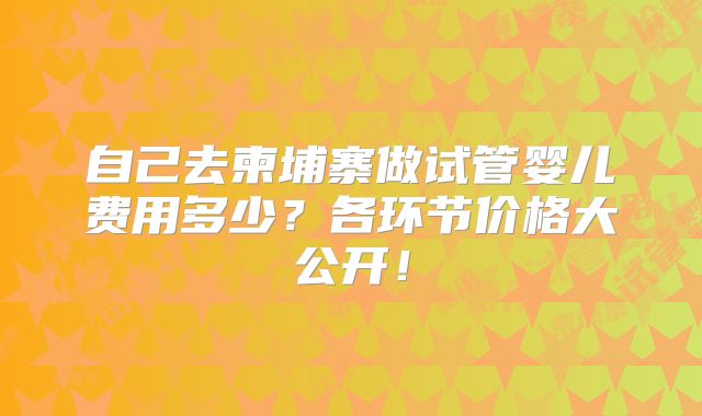 自己去柬埔寨做试管婴儿费用多少？各环节价格大公开！