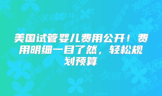 美国试管婴儿费用公开！费用明细一目了然，轻松规划预算