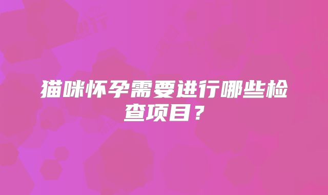 猫咪怀孕需要进行哪些检查项目？