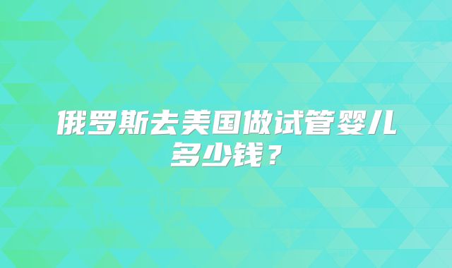 俄罗斯去美国做试管婴儿多少钱？
