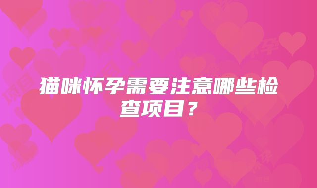猫咪怀孕需要注意哪些检查项目？
