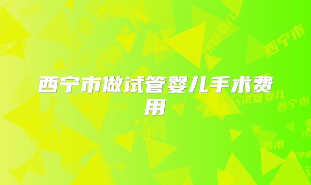 西宁市做试管婴儿手术费用