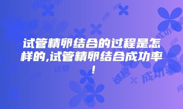 试管精卵结合的过程是怎样的,试管精卵结合成功率！